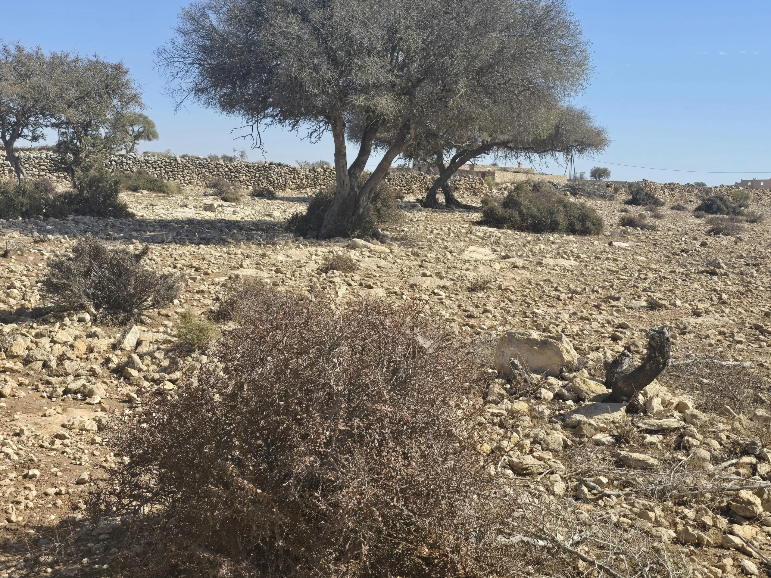 3000 sqm ocean view plot in Douar Lareich near Essaouira