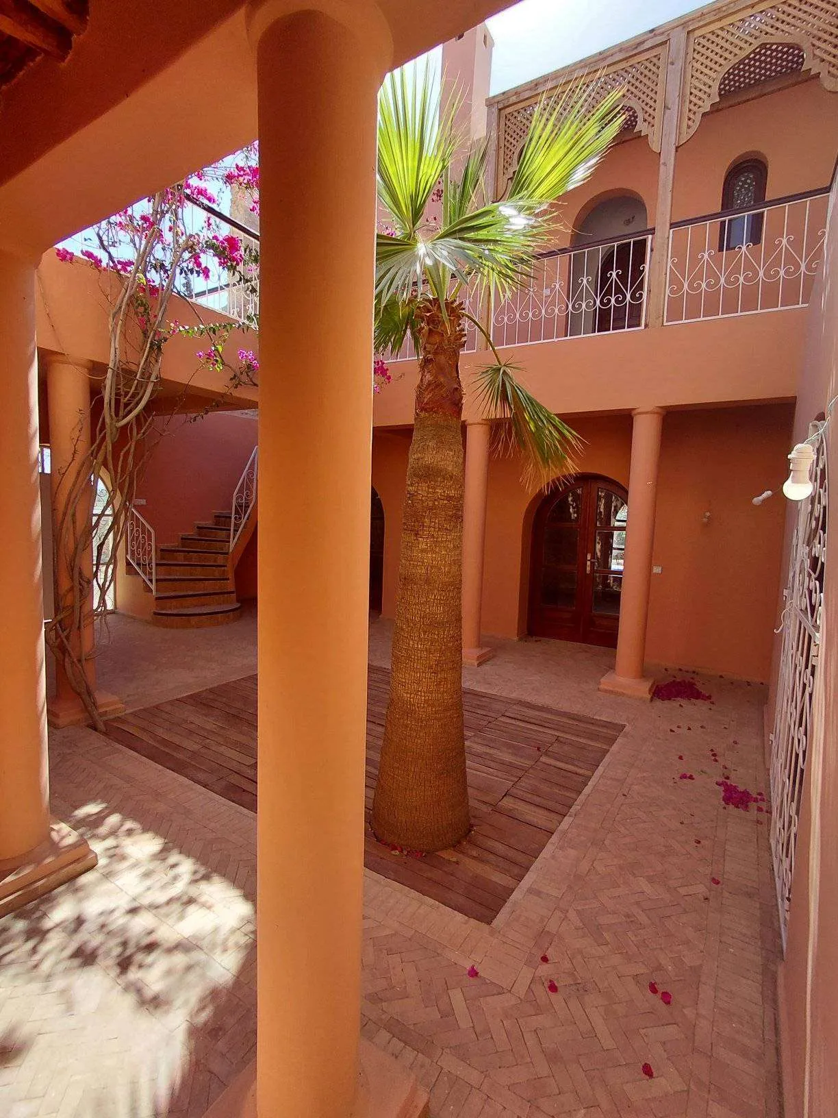 Backyard with landscaped garden and trees