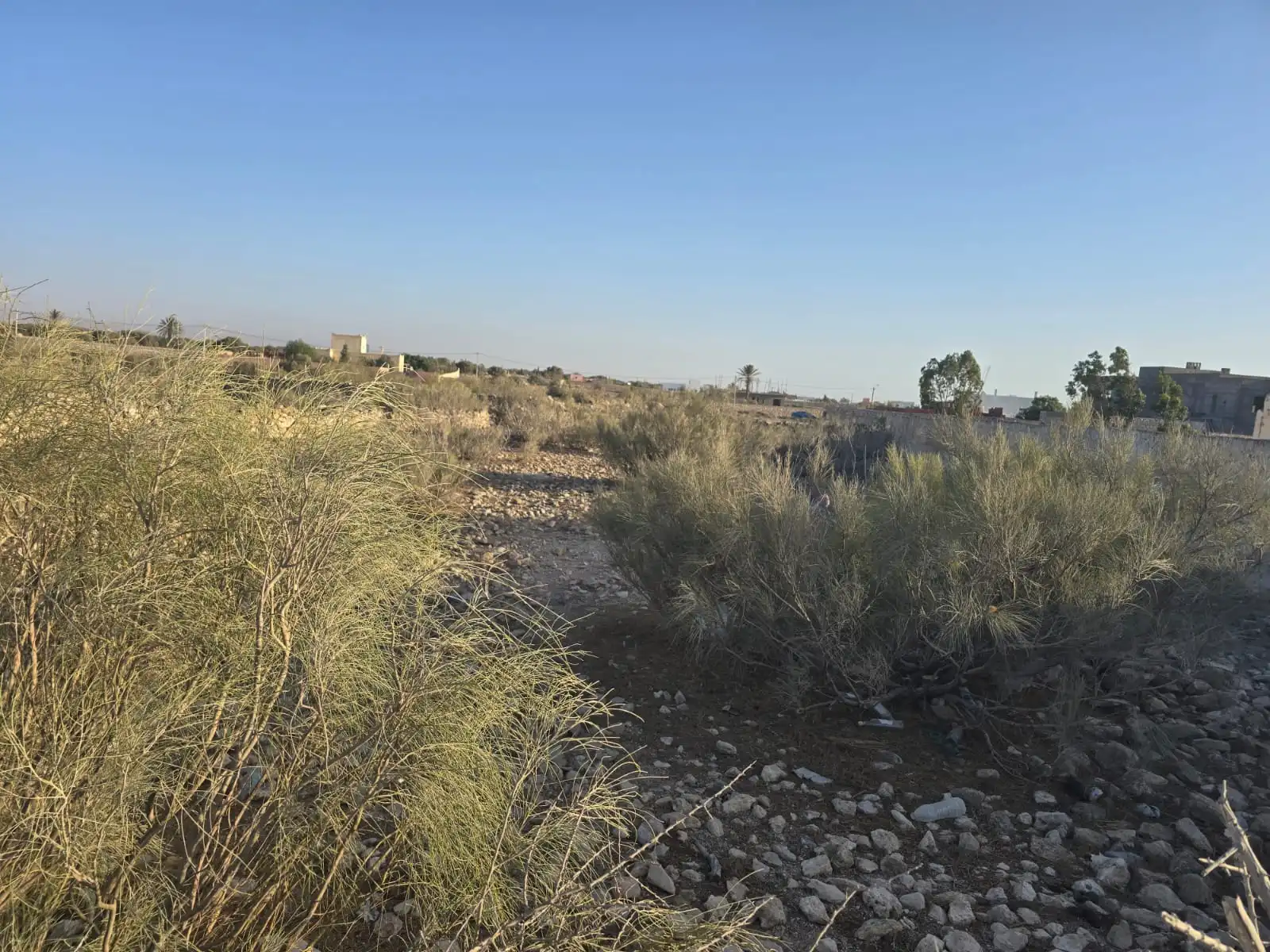 Flat serviced land for sale in Ghazoua near Essaouira