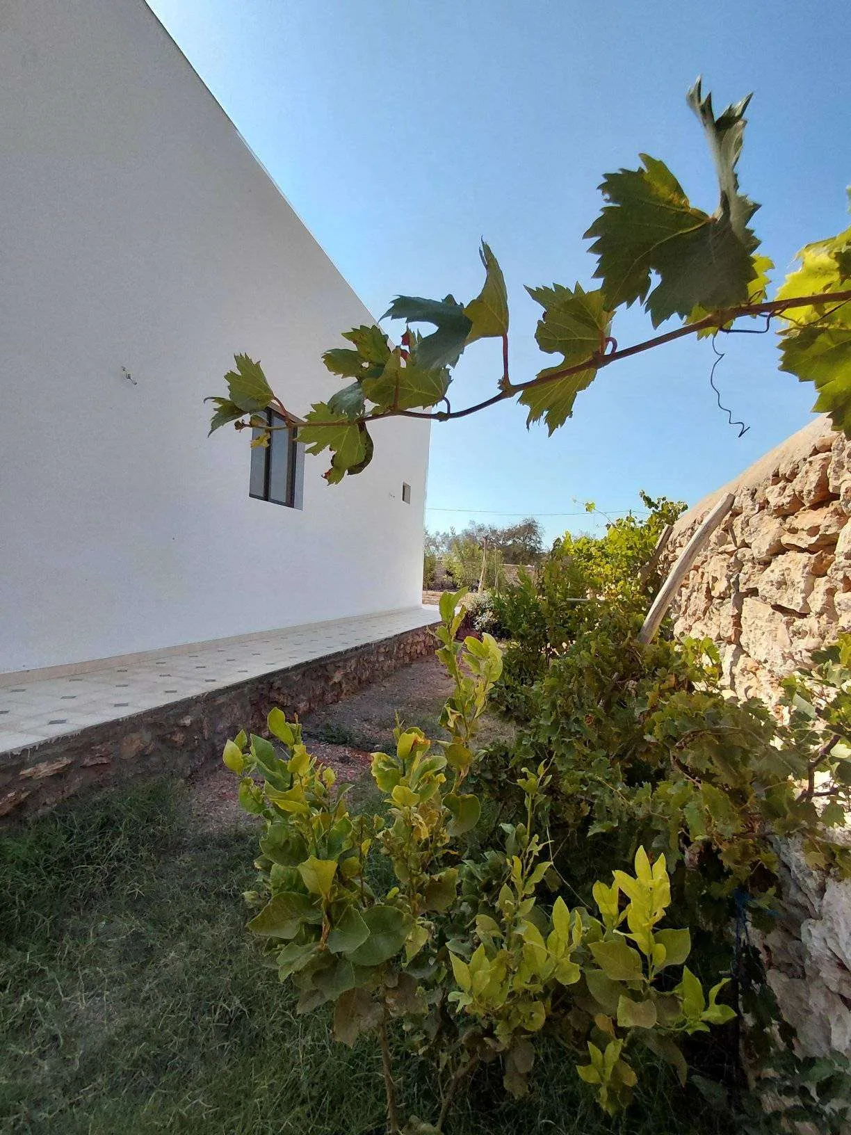 Front view of unfurnished villa with pool and terrace