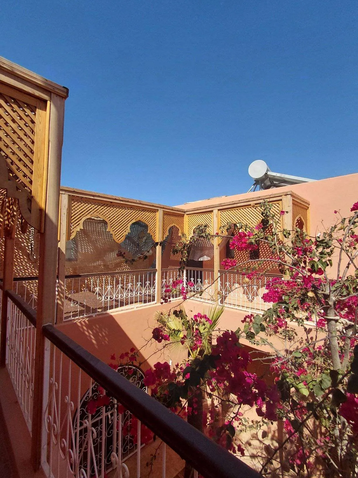 Green surroundings of villa near Essaouira