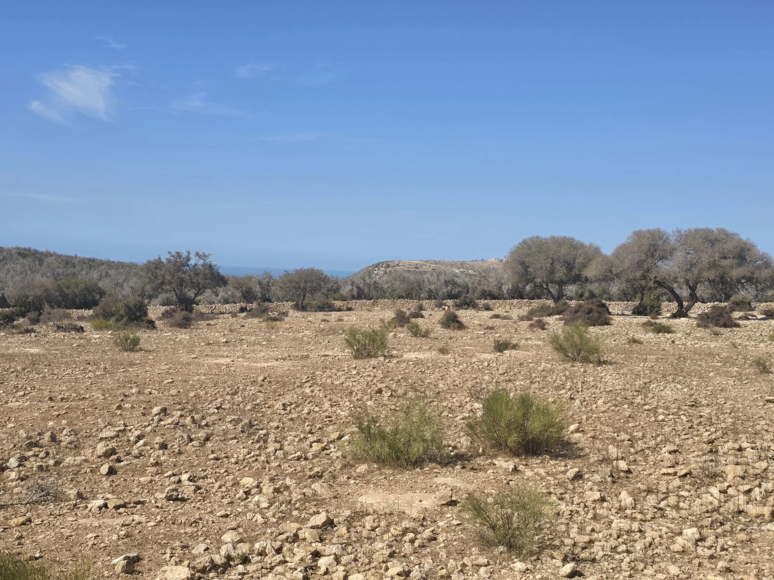 Titled plot with sea views in natural area near Essaouira