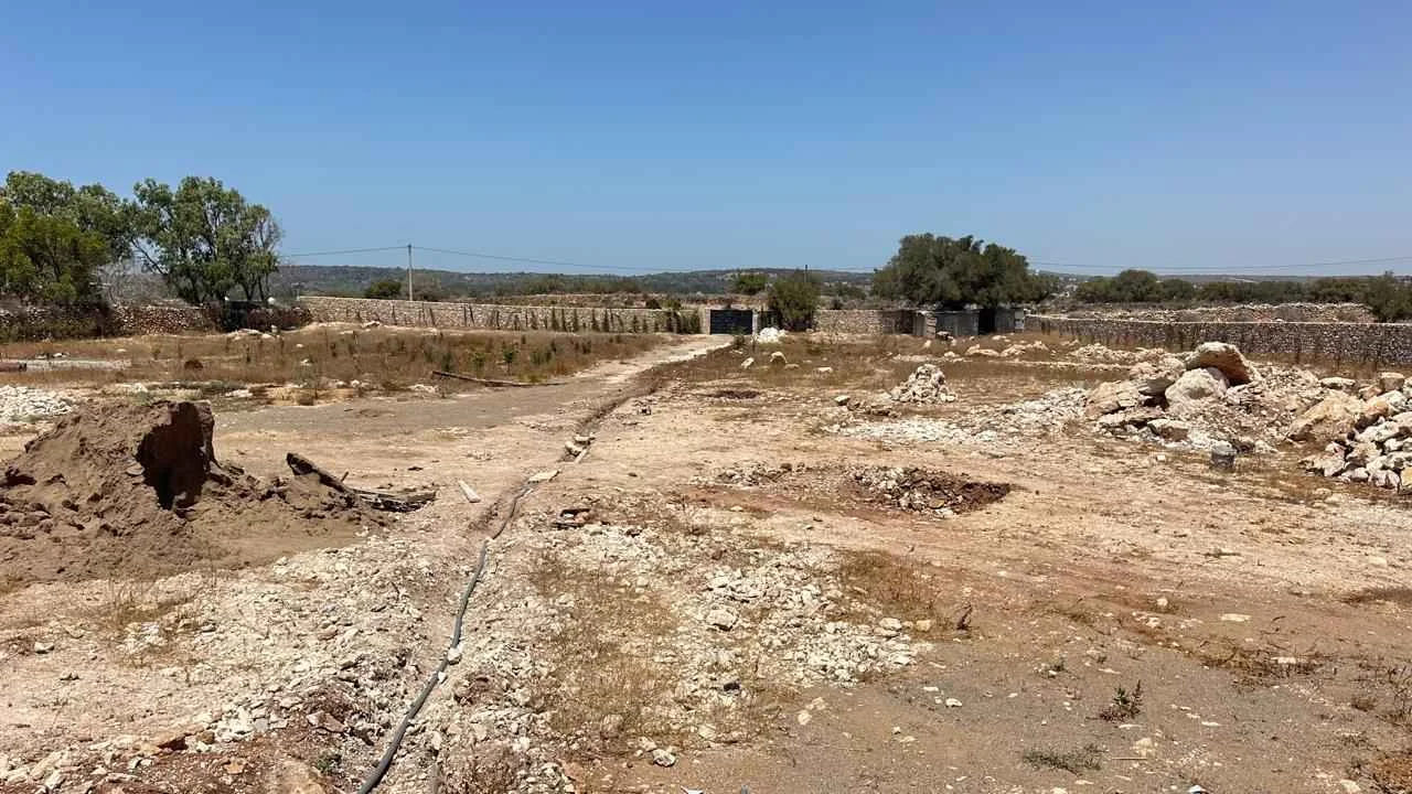 Tree-lined plot with green surroundings