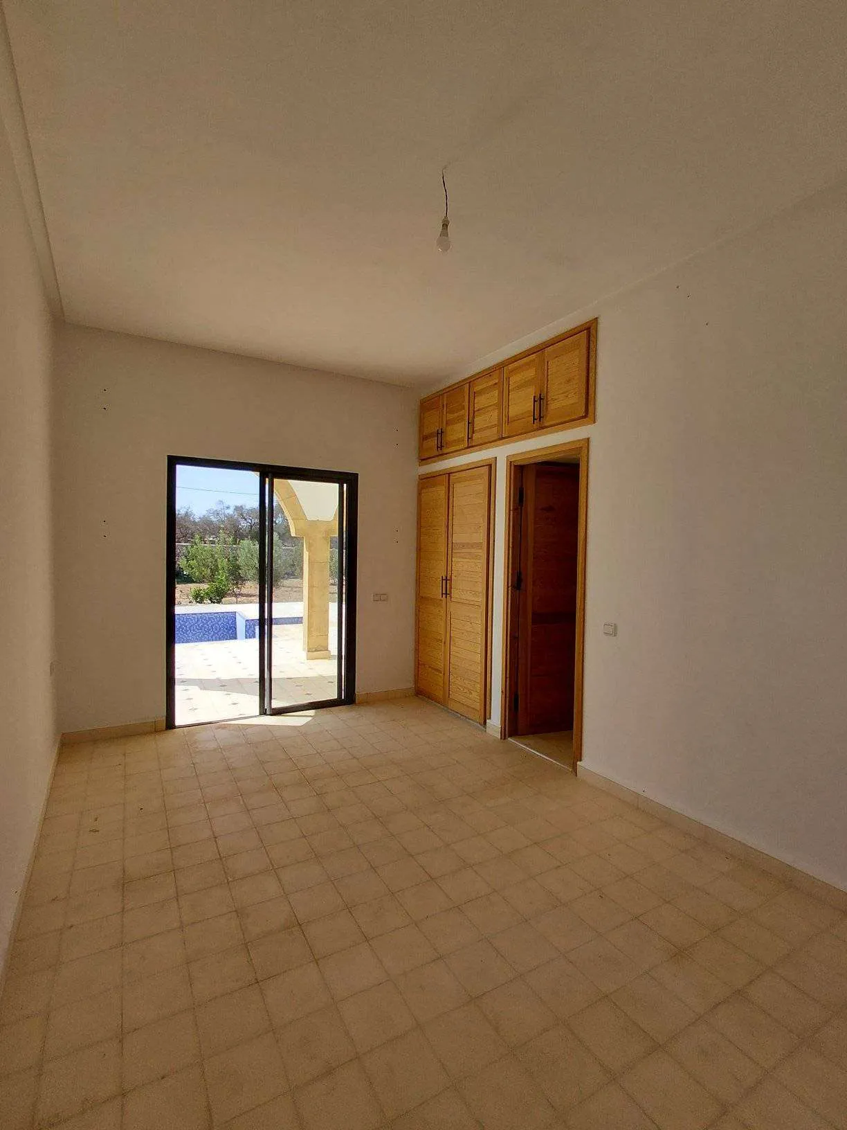 perspective-sur-piscine-et-jardin-oliviers