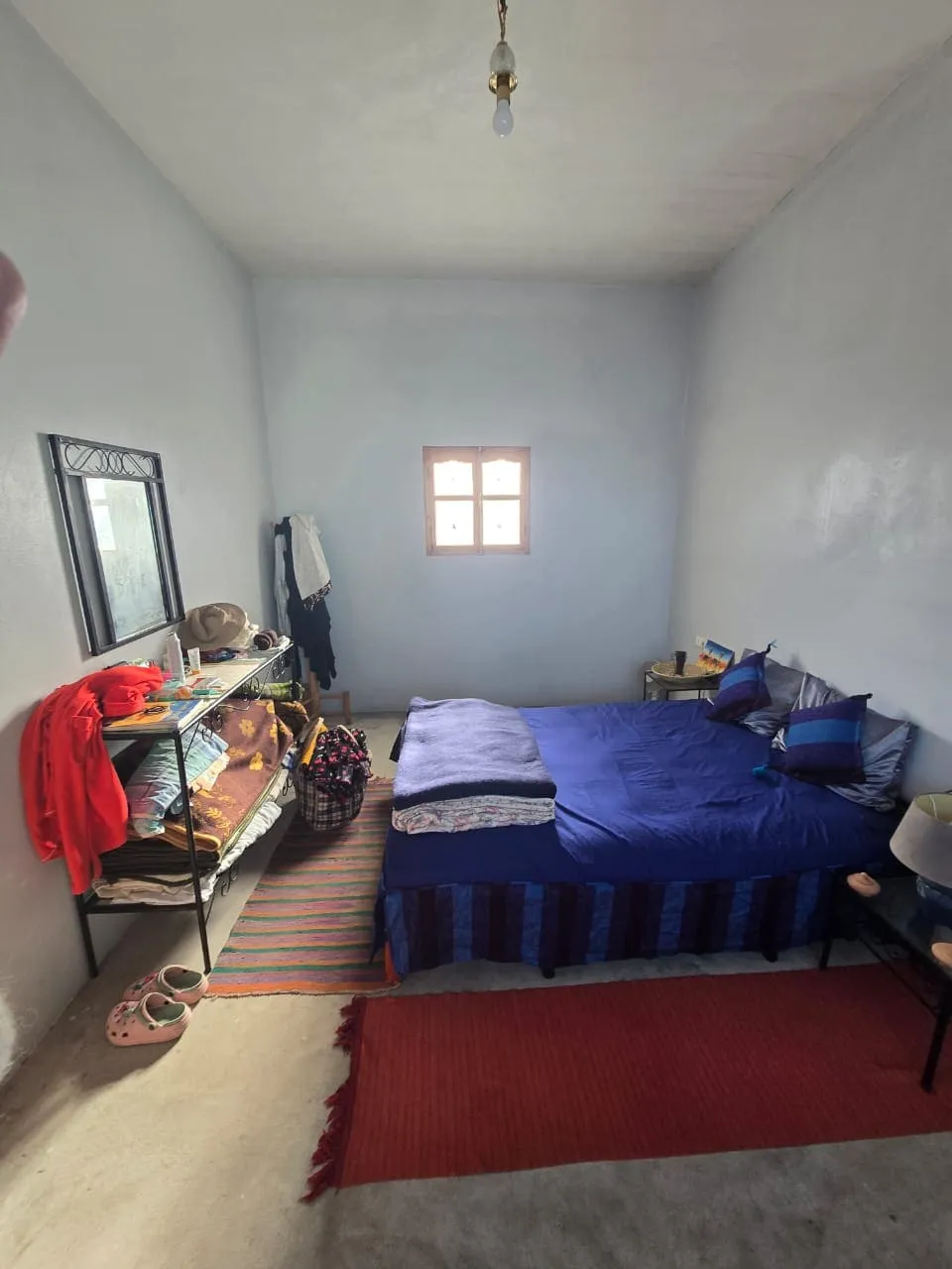 Garden space offering calm and privacy