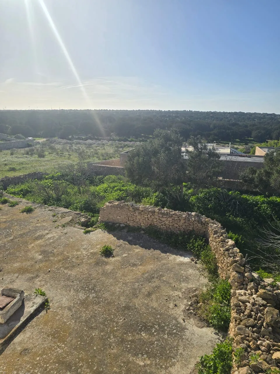 Forest view from the property in Ghazoua near Essaouira