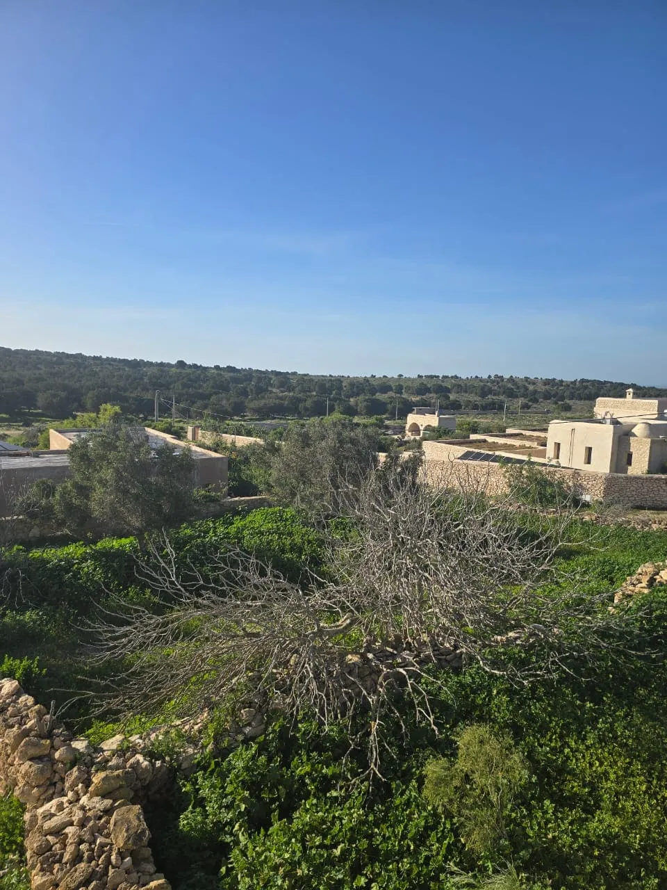 Spacious 1,200 sqm land surrounding the house in Ghazoua