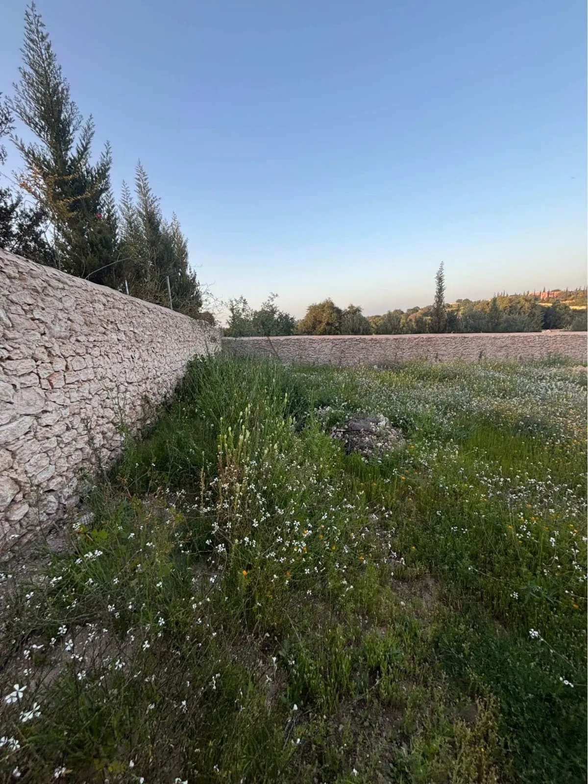 Land with approved building permit in Ghazoua area