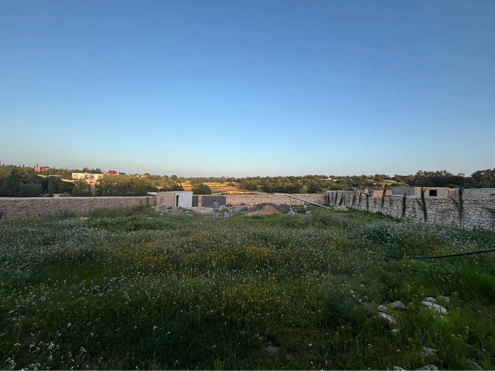 Natural environment around land for sale in Ghazoua
