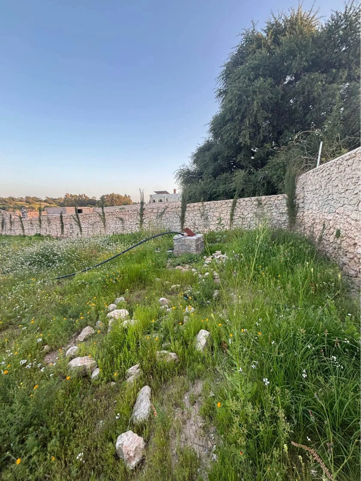 Peaceful setting of 1000 sqm land near Essaouira Morocco