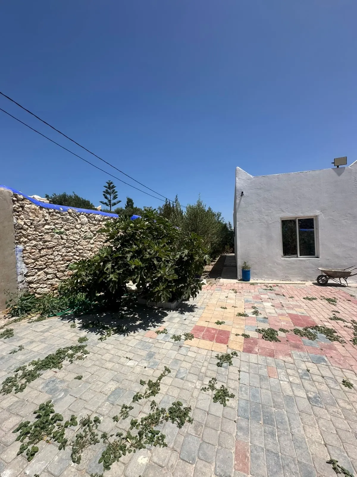 Exterior view of the villa with private swimming pool and garden