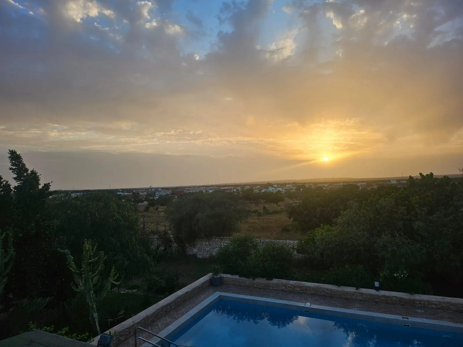 Peaceful countryside view with argan trees near Essaouira