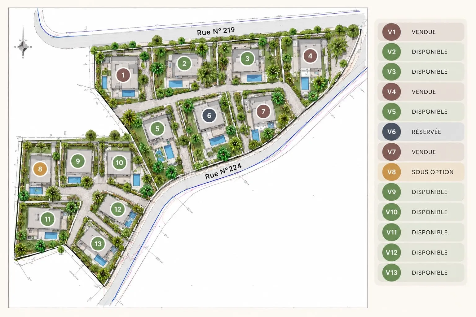 Plan d’ensemble du projet immobilier à Ghazoua, présentant l’implantation des différentes villas avec leurs piscines et jardins privatifs.
